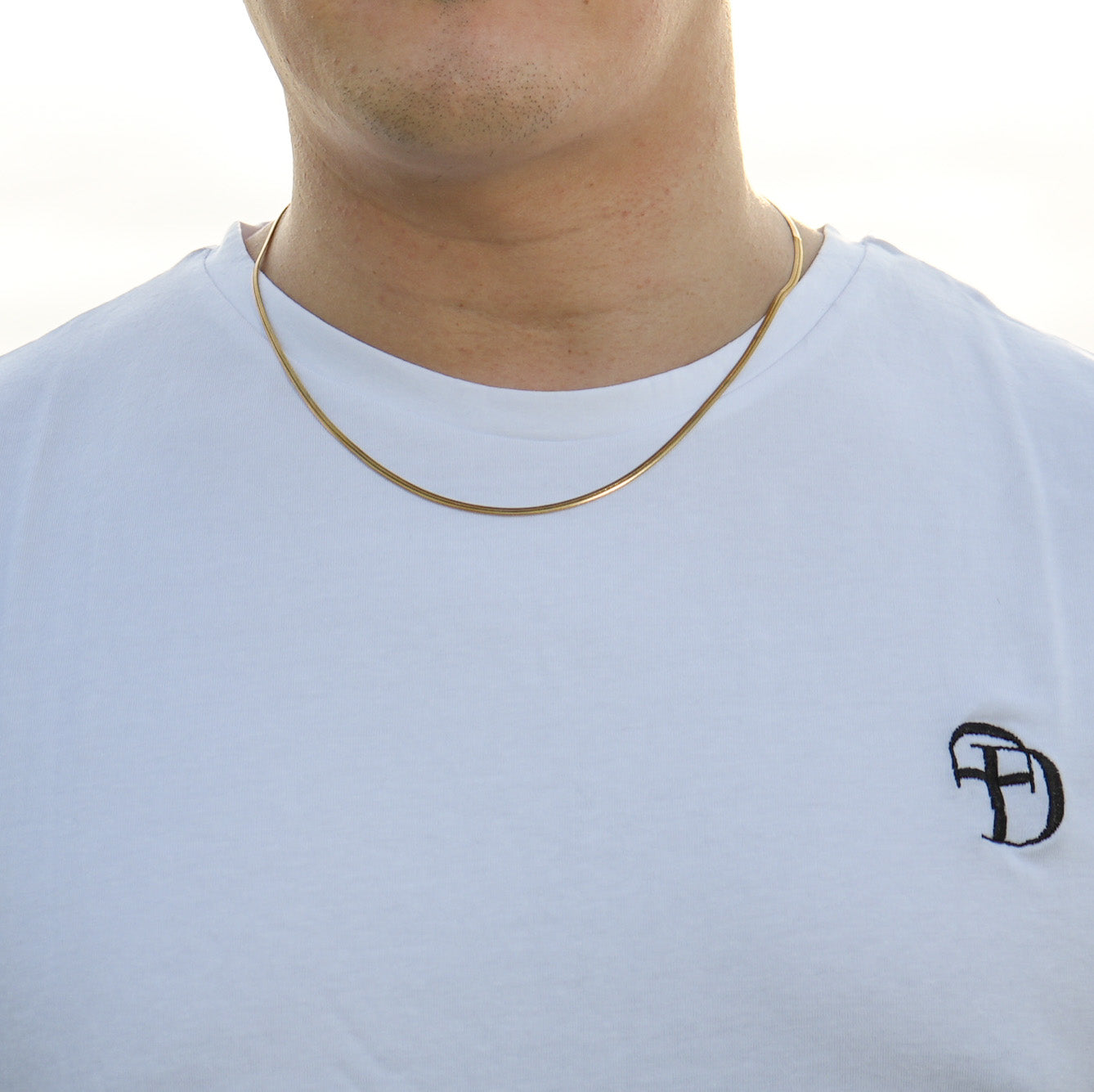 SKINNY FLAT SNAKE CHAIN 2mm GOLD